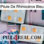 Pilule De Rhinocéros Bleu 25